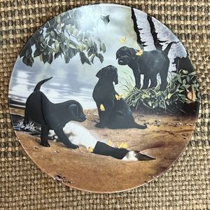 COLLECTOR Plate, Bradford Exchange, Dog Days by Jerry Gadamus, “First Flush”